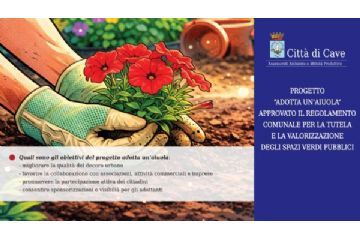 Approvazione Regolamento Adotta un'aiuola