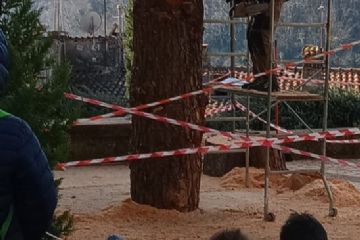 il lavoro dell’artista