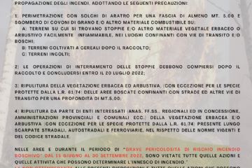Sfoglia la galleria