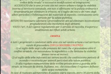 Sfoglia la galleria