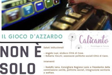 Sfoglia la galleria