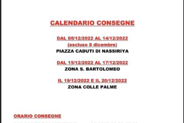 Sfoglia la galleria