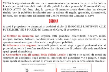 Sfoglia la galleria