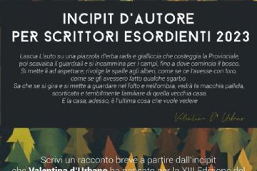 Sfoglia la galleria