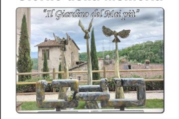 Sfoglia la galleria